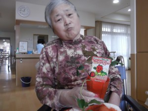 【福祉館恵海：うみかぜ：はまゆう】いちごを植えました！！