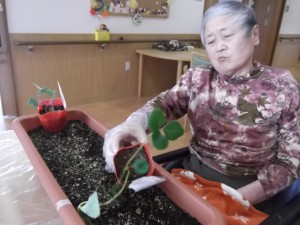 【福祉館恵海：うみかぜ：はまゆう】いちごを植えました！！②