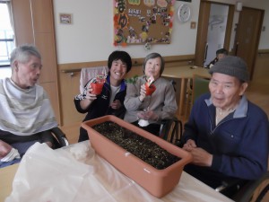 【福祉館恵海：うみかぜ：はまゆう】いちごを植えました！！