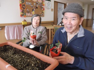 【福祉館恵海：うみかぜ：はまゆう】いちごを植えました！！