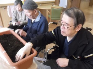 【福祉館恵海：うみかぜ：はまゆう】いちごを植えました！！②