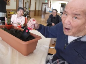 【福祉館恵海：うみかぜ：はまゆう】いちごを植えました！！②