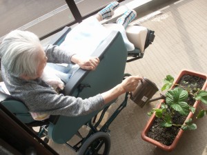 はまゆういちご農園、順調です☆