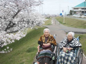 ■外食の帰りに、河川敷でプチ花見(^_^)v